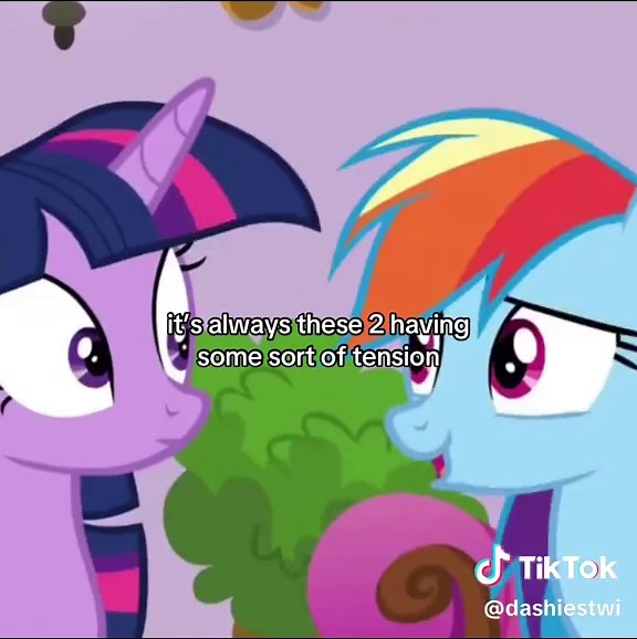 Exploring TwiDash Dynamics in My Little Pony