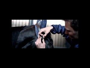 Nouveau spot pub "Ne faites qu'un avec le cheval" - Equidia