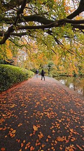 Autumn Vibes in St. Stephen's Green, Dublin 🍂 #autumn #fall #Dublin #ireland #irish #winter #europe | In Ireland
