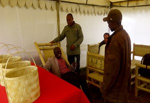 The potential of Bamboo in Tanzania