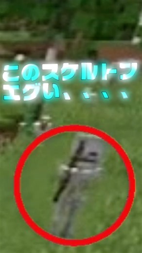 なんだこのスケルトン、、、