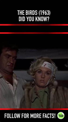 Can you imagine the reaction that ending would have received? 😳 #thebirds #thebirds1963 #thebirdsmovie #alfredhitchcock #tippihedren #daphnedumaurier #rodtaylor #jessicatandy #veronicacartwright #suzannepleshette #ruthmcdevitt #charlesmcgraw #ethelgriffies #elizabethwilson #richarddeacon #karlswenson #doreenlang #billquinn #joemantell #doodlesweaver #horror #horrormovies #60smovie #60smovies #scottneumyer #didyouknowthis #didyouknowthat #moviefacts #movietrivia #triviadude | Scott Neumyer