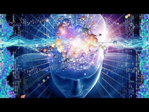 How the Brain Works: Neuroscience 101