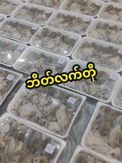 Blue Wave seafood & commodity distribution #Taunggyi #seafood #ပင်လယ်စာအစုံ #စားမယ်ဝါးမယ် #spy