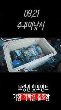 보령권 주꾸미낚시 가장핫한 포인트까지 가장 가까운 출조항 9월21일 조황소식 #오성스타호 #핫이슈 #발전소 #빠른 #출항