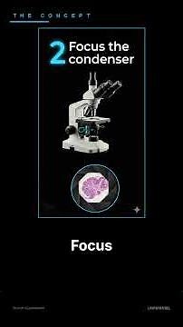 Köhler Illumination: The First Thing You Should Do at Every Microscope 🔬