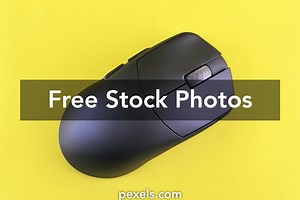 Free Mouse For A Computer Photos