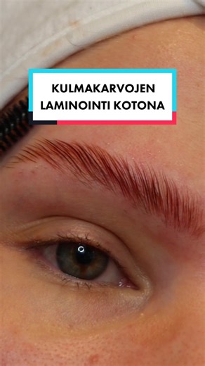 Ostin kulmien kotilaminointisetin ja testasin miten tää toimii! Jos oot epävarma tai pystyt menemään niin MENE AMMATTILAISELLE, mutta jos oot tunnollinen ohjeiden ja vaikutusaikojen noudattaja jolla sudit pysyy käsissä sekä maalaisjärki päässä niin tosi hyvä koti kit! Oon tyytyväinen lopputulokseen. Edullinen, helppo, nopea ja hyvä, ostaisin uudestaankin. #kulmienlaminointi #browlift #tiktoksuomi #fypsuomi #kulmienvärjäys #kulmienmuotoilu #browlaminationtutorial #browlamination