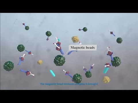 Lifotronic eCL8000 Electro Chemiluminescence Immunoassay eCLIA System