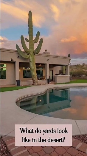 Tucson Desert Landscaping Goals 😍🌵