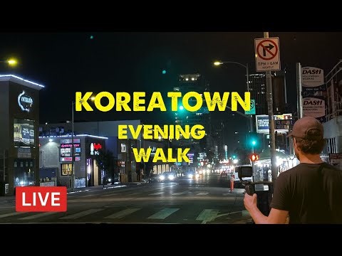 LIVE 📍LOS ANGELES KOREATOWN WALK CHAT IRL