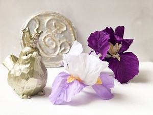 Crepe Paper Iris