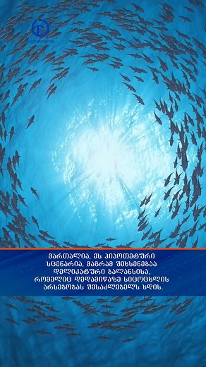 30K views · 1K reactions | აი, რა მოხდება, თუ დედამიწა მოულოდნელად შეწყვეტს ბრუნვას  — #დედამიწა #კოსმოსი #earth #space | მომავლის პოსტი • Future Post | Facebook