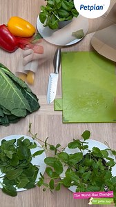 77K views · 111 reactions | Spending more time at home, close to your...