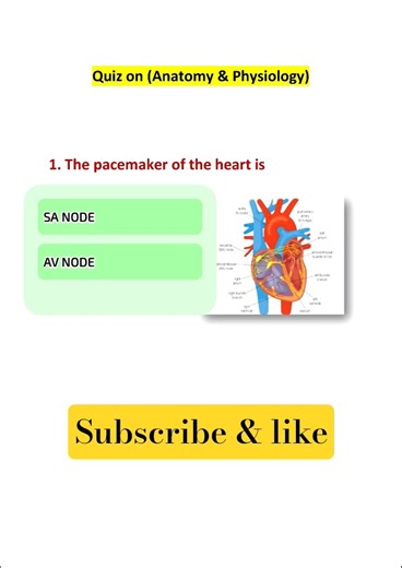 ANATOMY AND PHYSIOLOGY MCQ
