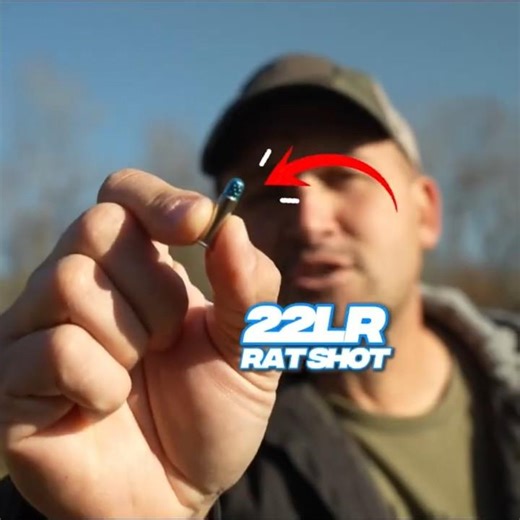 Kentucky Ballistics: How Lethal Is 22lr Rat Shot?