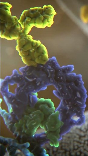 Enjoy your SciArt clip! | Science Animation