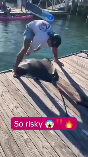 So aggressive, and risky 😱‼️🔥 #jayspearfishing #fishing #spearfishing #fish | Jay Spearfishing