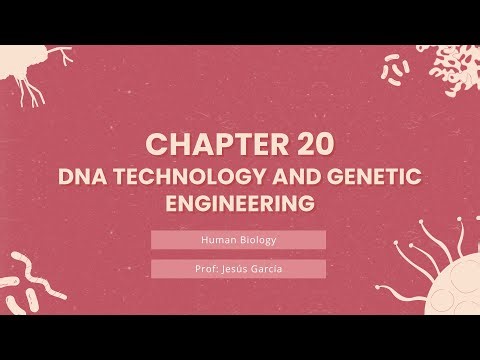 Chapter 20 - DNA Technology and Genetic Engineering