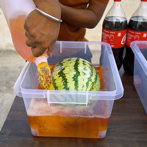 1.4M views · 31K reactions | Watermelon Preserved For 3 months क्या तरबूज ३ महीने बाद बचेगा | YASH KE EXPERIMENTS | Facebook