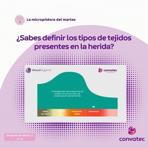 ¿Sabes definir los tipos de tejidos presentes en la herida?