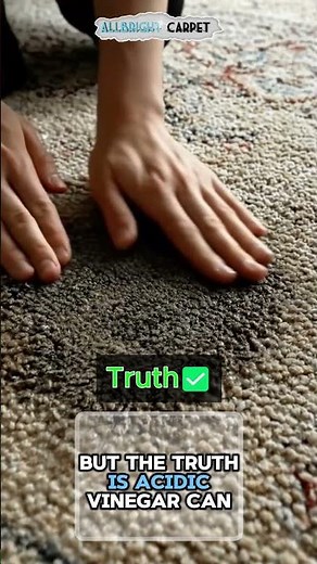 Think Vinegar Is Safe for Rugs? Here’s the Truth 🧴❌