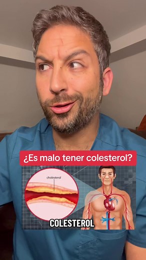 Colesterol: Entendiendo el Bueno y el Malo