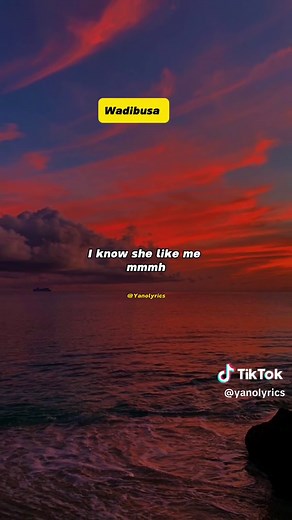 Uncle Waffles - Wadi Busa Music Video | Amapiano Vibes