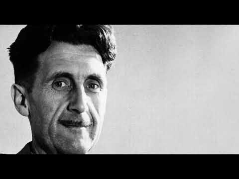Language, Thought, & Politics