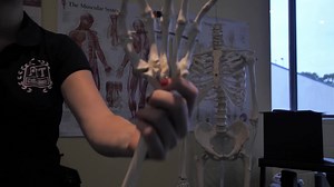 #BeCareerFIT and stand out from the crowd as a FIT College Certified Personal Trainer. Flexible, self-paced online study with all the support you need from the college that local fitness industry leaders prefer. | FIT College