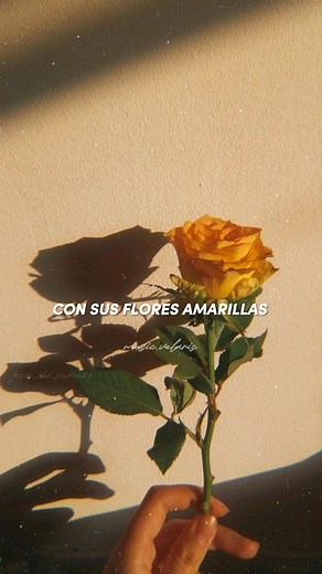 Ya casi es 21 de marzo, ojalá y a todxs les regalen sus flores amarillas 🥺💛 ♡♡♡♡♡♡♡♡♡♡♡♡♡♡♡ Inicio de la primavera: • Países del hemisferio sur: 22 y el 23 de septiembre. • Países del hemisferio norte: 20 y 21 de marzo. 😊 #floresamarillas #21demarzo #floricienta #primavera #fypシ #viral #lyrics #music #letrasdecanciones #viralvideo