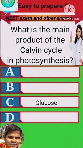 The Calvin Cycle: Key Product of Photosynthesis