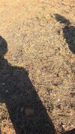 Pit-Track K9 Operators Course. Module Fire Fighting. In this case the Team learned how to do a back burn on a fast approaching wild fire. To be the best you need to train with the best. Backed by 25 years of operational experience . Next Course 1st August 2025, Limited spaces for maximum experience. Contact Pit-Track Cpt Carl Thornton on WhatsApp 078 109 4392 for more information. #fire #firefighter #firesafety #PitTrack #TracK9 | Pit-Track