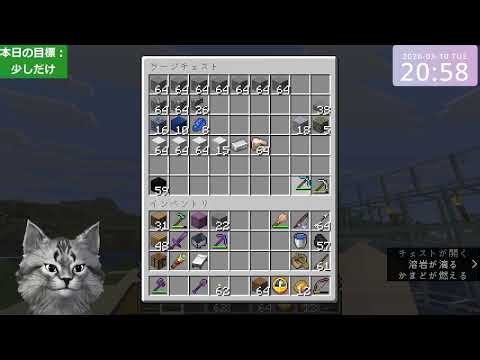 Minecraft test (Java Edition 1.21.11)