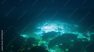 bioluminescent creatures under the water. The scene is illuminated by a soft, iridescent glow from the creatures, creating a magical, otherworldly atmosphere. Stars sparkle in the clear night sky