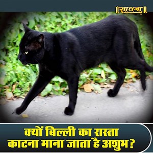 3.5M views · 67K reactions | #Sadhna #ishwartv #story क्यों बिल्ली का रास्ता काटना माना जाता है अशुभ ? Ishwar TV | Sadhna TV | Facebook