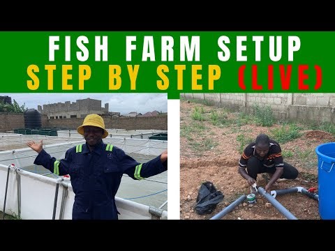 From Empty Land to Fish Farm: Full Setup Process (LIVE)