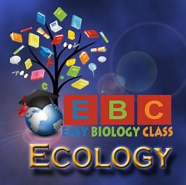 Hydrophyte Adaptations PPT | EasyBiologyClass