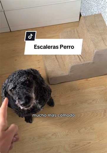 Videos de DANI ALCARRIA (@dani_alcarria) con “Happy Upbeat - AShamaluevMusic”