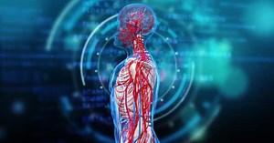 Anatomy of the lymphatic system in humans