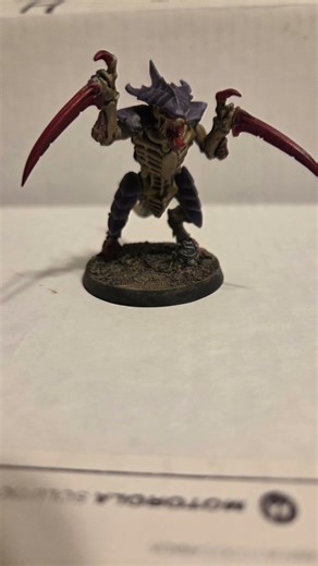 A tyranid warrior I painted