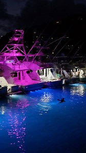 🇵🇷 Puertorican Navy at Cane Garden Bay, Tortola 🛥️🌙✨ #BVI 🏝️🛥️ #Xmas 🎄 | Boating Puerto RICO
