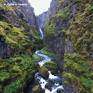 Glymur is Iceland's second-tallest waterfall and a terrific hike! 🌟 PS. Yes, the log has been put in place for the season for you to cross the river 😉 | Guide to Iceland