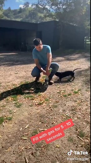 How to make a simple water rocket! #diy #waterrocket #scienceismagic #fyp #duetwithme