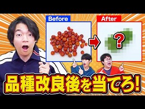 【激マズあり】品種改良「前」を食べて推測！これ何になるクイズ！