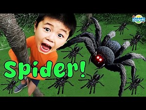 KIDS!🕷️🎃Halloween EMERGENCY: SPIDER Monster Hunt! | EDUCATIONAL KIDS NATURE SHOW🌿
