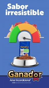 El mejor comienzo para tu cachorro está en su plato.💙🐕 Ganador® Cachorro Razas Minis y Pequeñas le da el sabor, nutrición y cuidado que necesita para sus primero pasos. ✨🐾 #AmorIncondicional #JuntosTodaLaVida #GanadorCroquetas | Ganador Croqueta