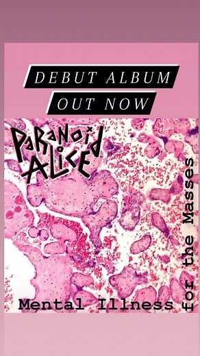 ParanoidAlice on TikTok