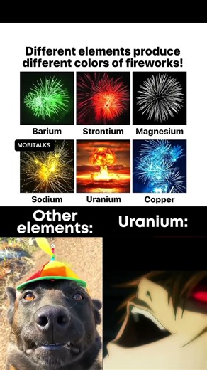 That's one big firework 💀 #funnymemes