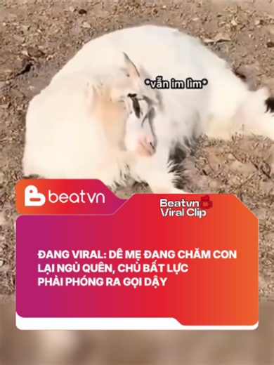 Sau này các con sẽ hiểu, mẹ ngủ vì mẹ buồn ngủ... #Beatvn #Beatnetwork | Honda Beat